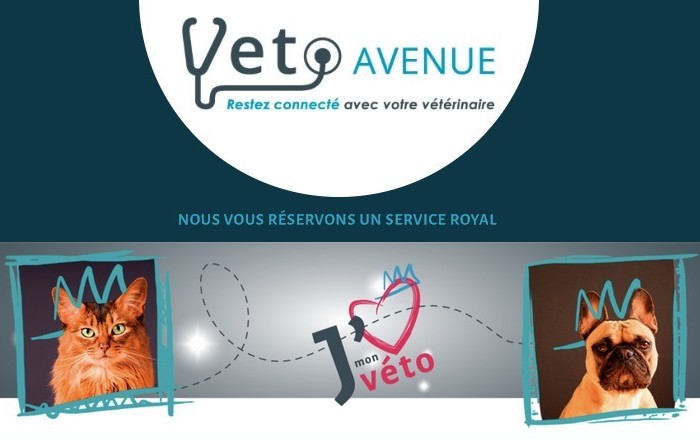 VetoAvenue la boutique en ligne de votre vétérinaire : restez connecté avec  votre vétérinaire